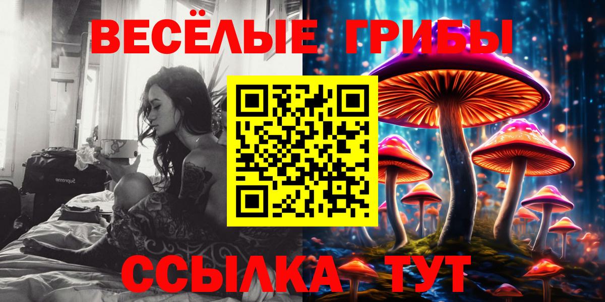 Псилоцибиновые грибы GOLDEN TEACHER  Вход с VPN  Галлюциногенные грибы Magic Shrooms  Чайковский 