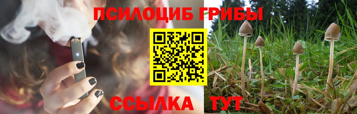 Галлюциногенные грибы ЛСД Чайковский